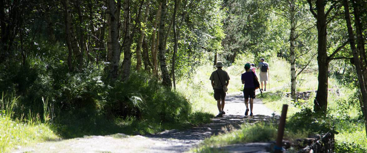 1177x492-guia-de-camins-d-andorra3.jpg