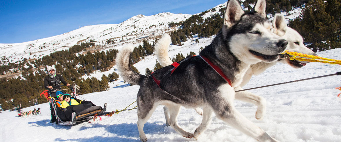 Sessió de fotos activitats esportives a Grau