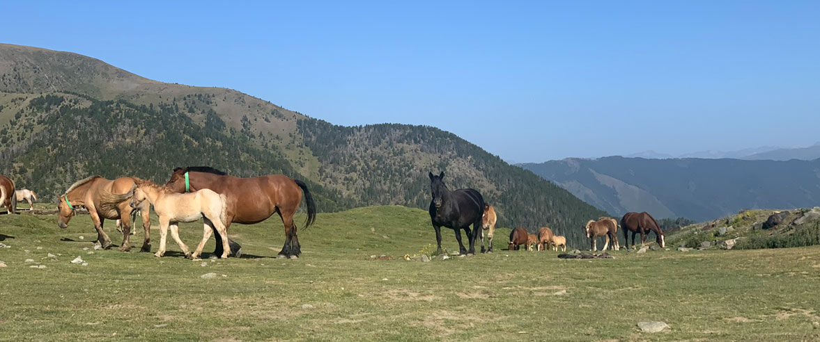 1177x492-ramaders-d-andorra2.jpg
