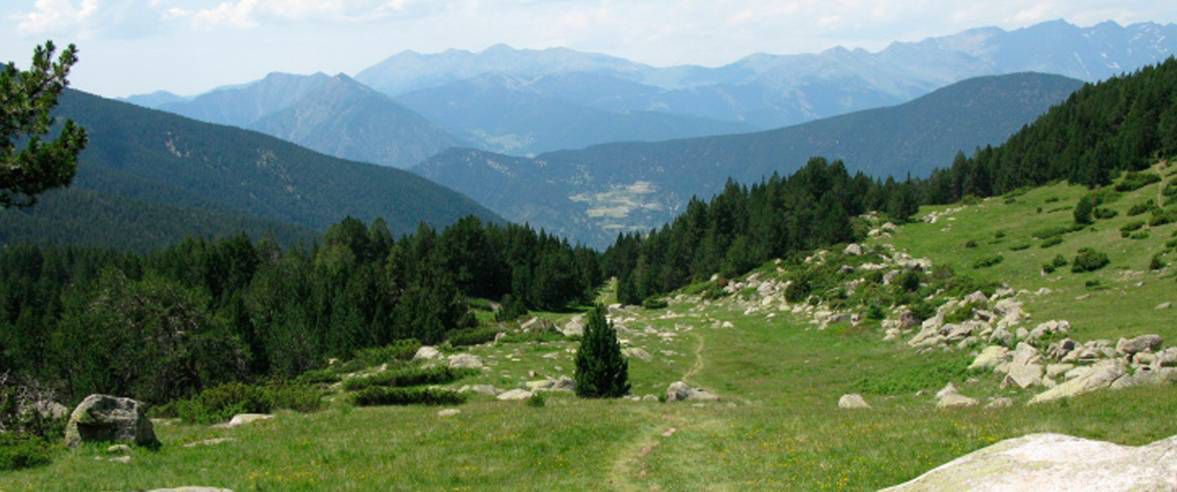 1177x492-ruta-de-senderisme-cami-de-l-ossa.jpg