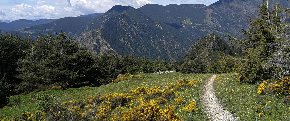 1177x492-ruta-de-senderisme-cami-de-manyat2.jpg