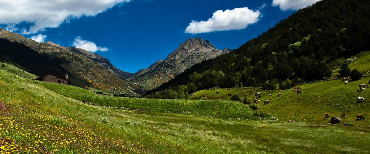 1177x492-ruta-de-senderisme-circular-a-la-parroquia-de-canillo2.jpg