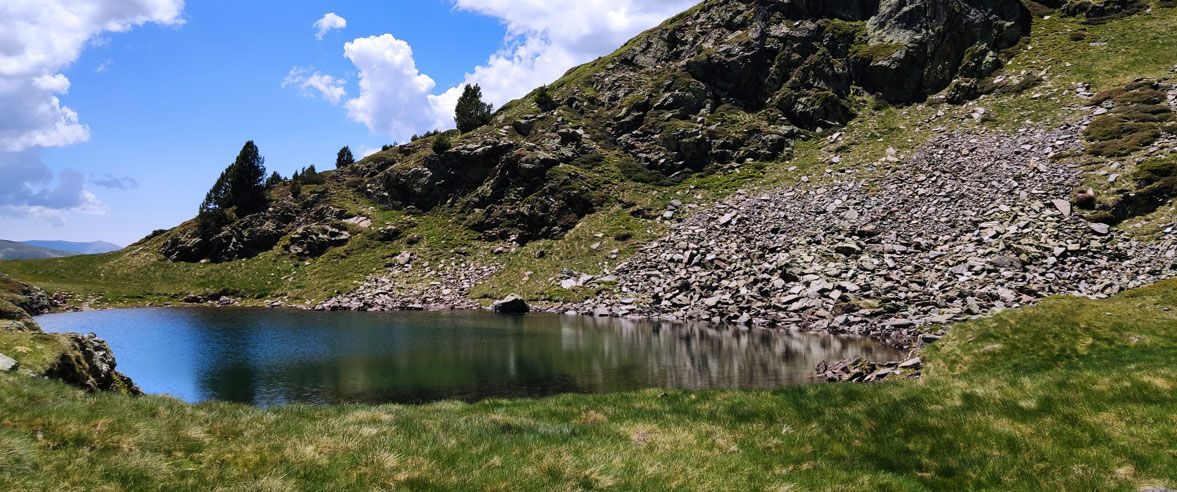 1177x492-ruta-de-senderisme-estany-de-querol-i-salamandres3.jpg