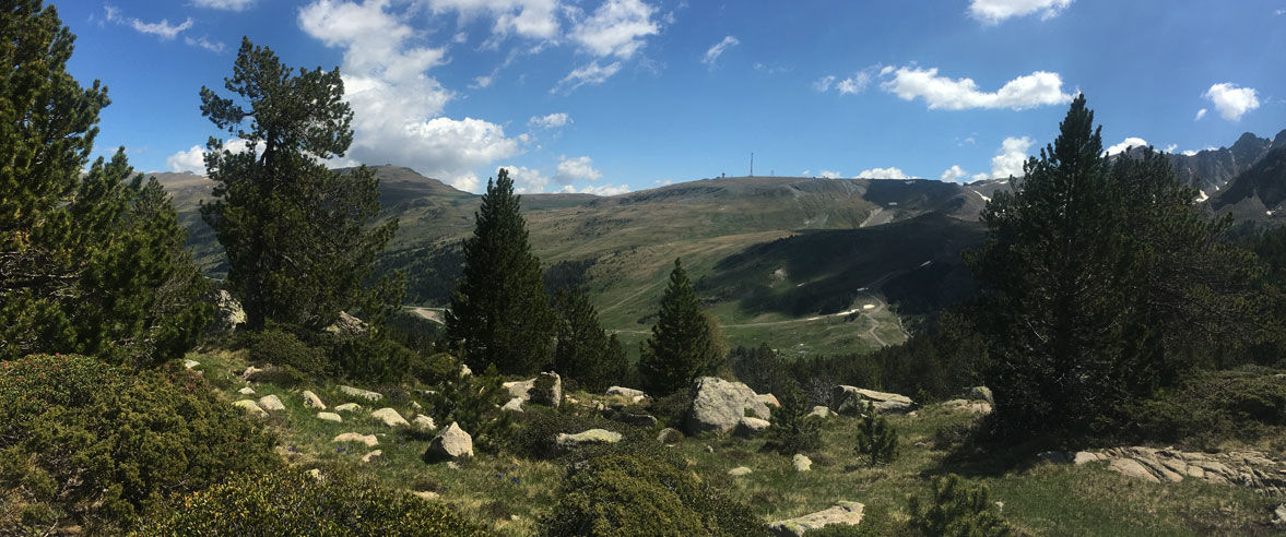 1177x492-ruta-de-senderisme-estany-primer-de-pessons.jpg