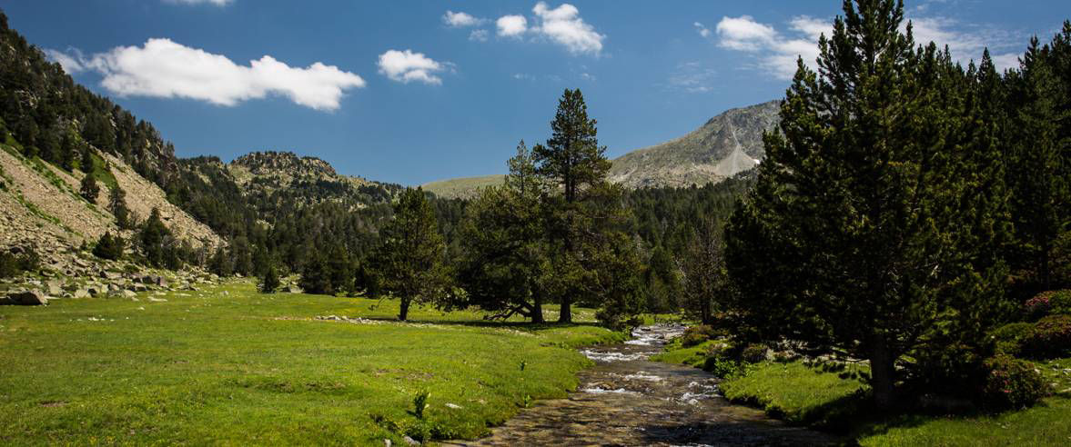 1177x492-ruta-de-senderisme-itinerari-de-la-vall-del-madriu.jpg