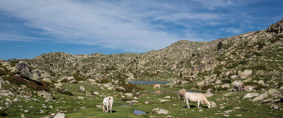 1177x492-ruta-de-senderisme-les-pardines-fins-l-estany-de-l-illa-passant-pel-refugi-i-la-collada-dels-agols1.jpg