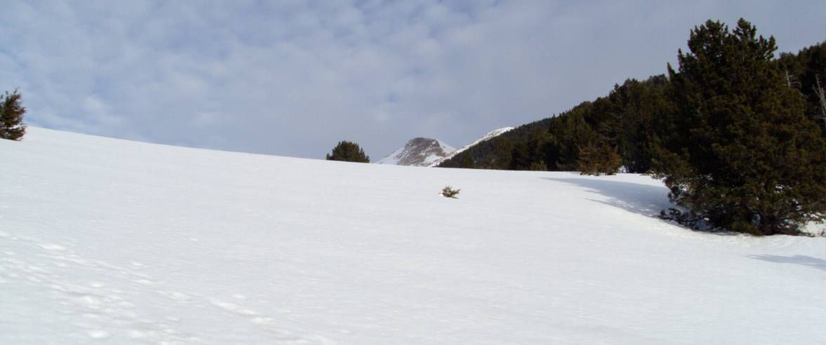 1177x492-skimo-bordes-de-l-ensegur.jpg