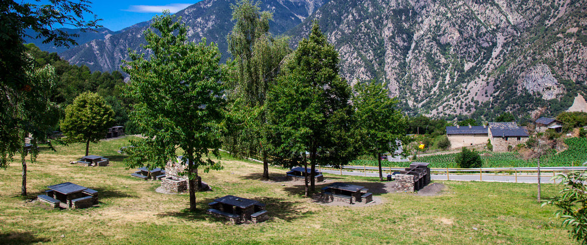 1177x492-zona-de-picnic-la-comella-berenador-nou.jpg