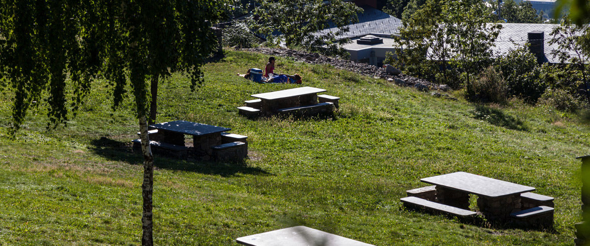 1177x492-zona-de-picnic-la-comella-berenador-nou3.jpg
