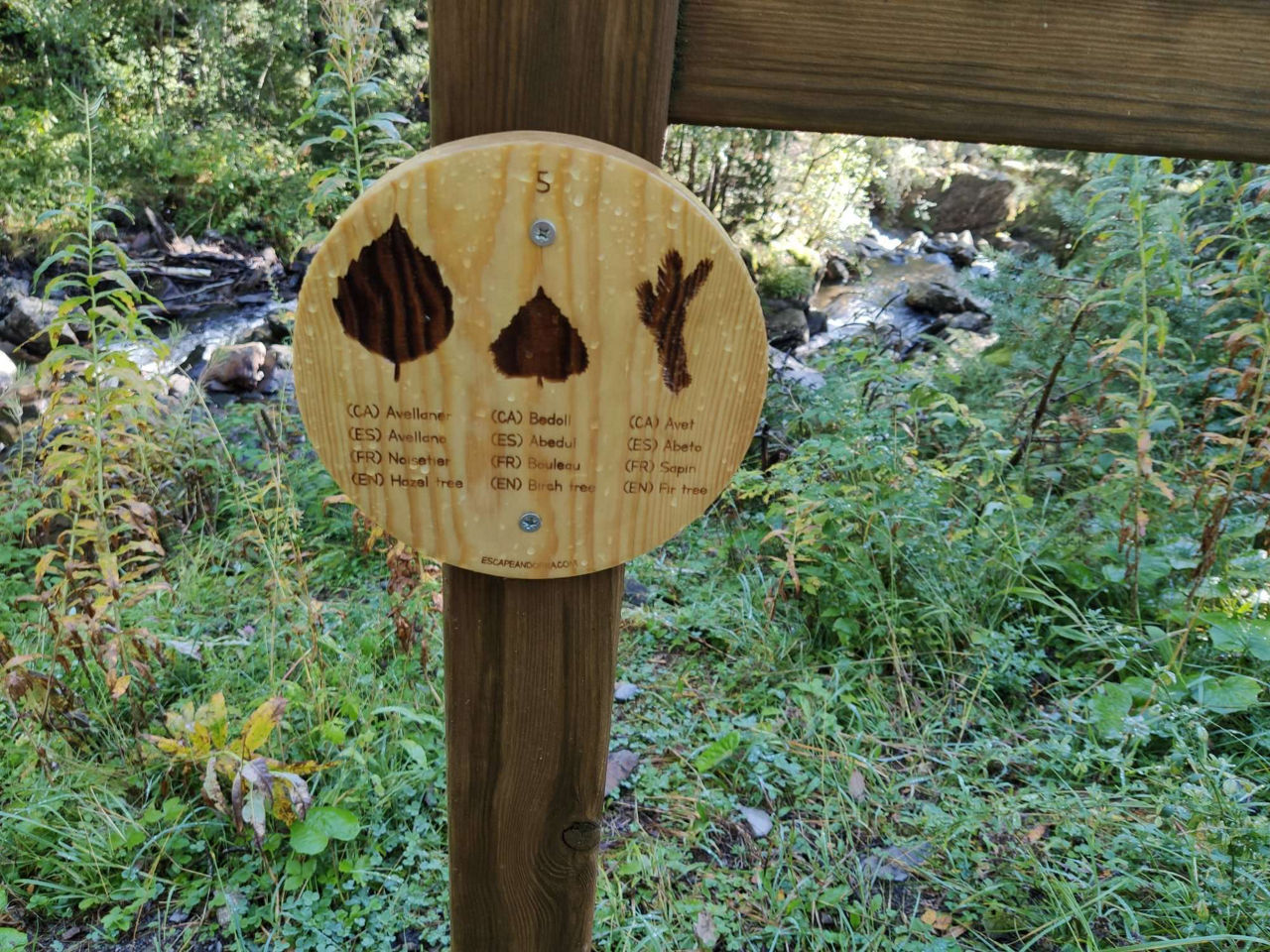 1636363678399 - serenalla - vir.JPEG