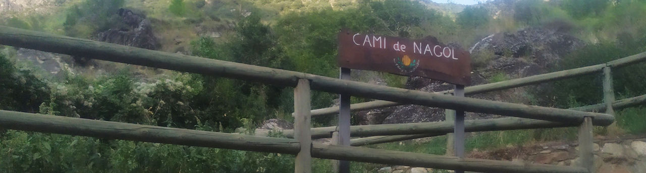 1920x516-cami-de-nagol-pel-torrent-d-alins.jpg