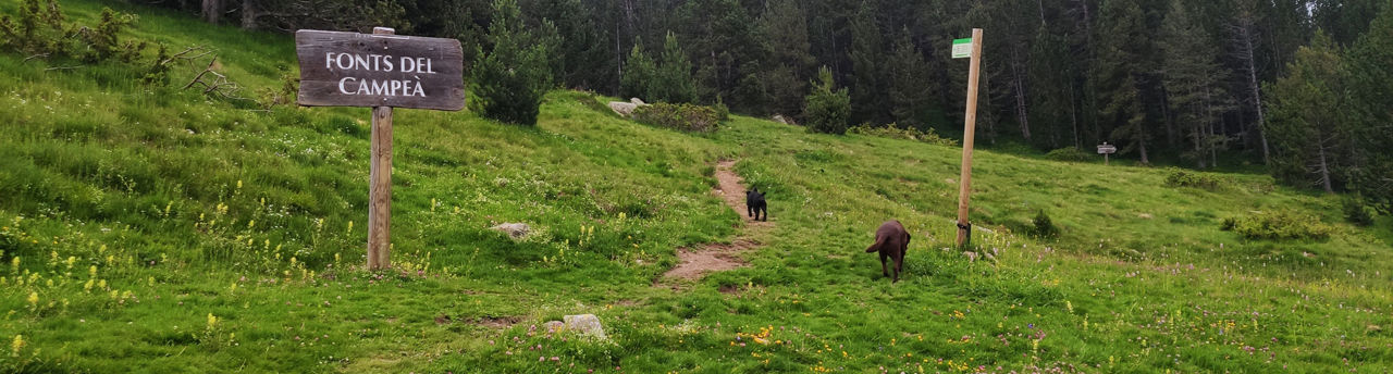 1920x516-ruta-senderisme-fonts-campea.jpg