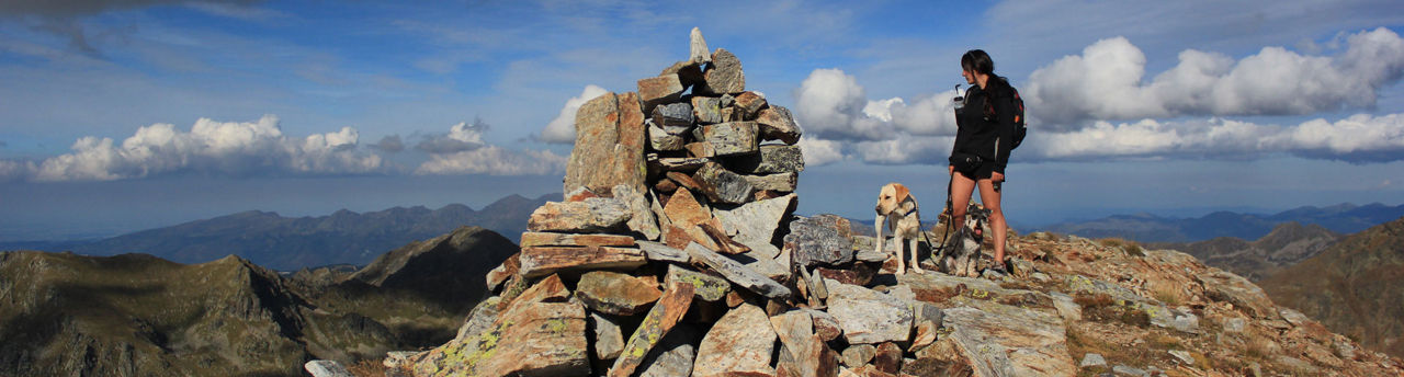 1920x516-sherpa-excursions-canines-andorra.jpg