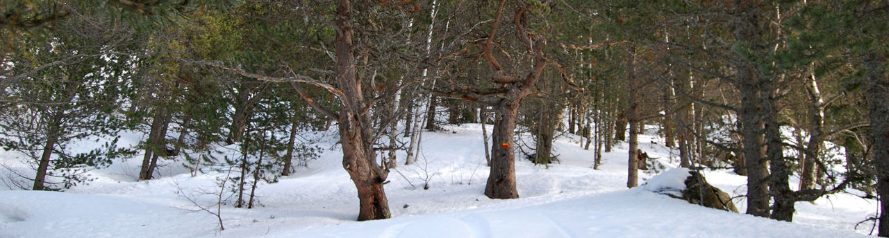 1920x516-skimo-cami-ral-del-serrat-a-sorteny.jpg