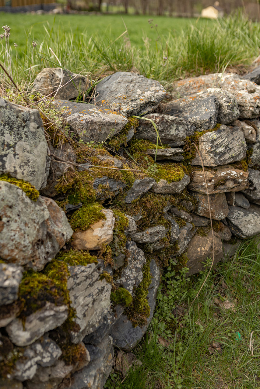 2024-andorraworld-visit-andorra-2024, camí de Santa Bàrbara, Carolina De Santis, Ordino, pedra seca, primavera, vertical-3V7A1748.jpg