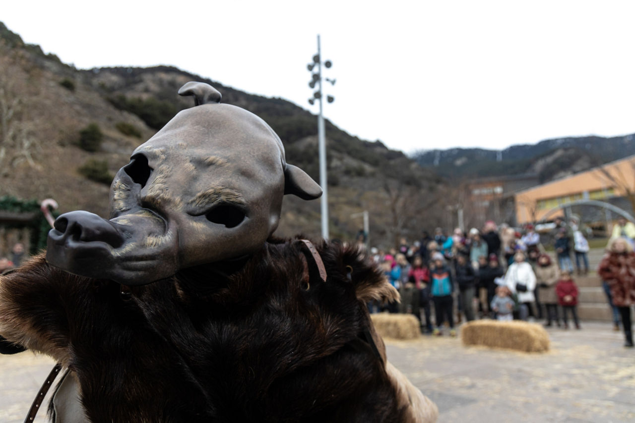 /content/dam/visitandorra/ca/assets/images/què-fer/cultura/distribuidora-cultura/221211 L'Ossa H 46.jpg