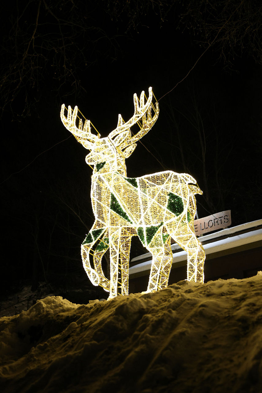 251122 Cercle Màgic H 067.jpg