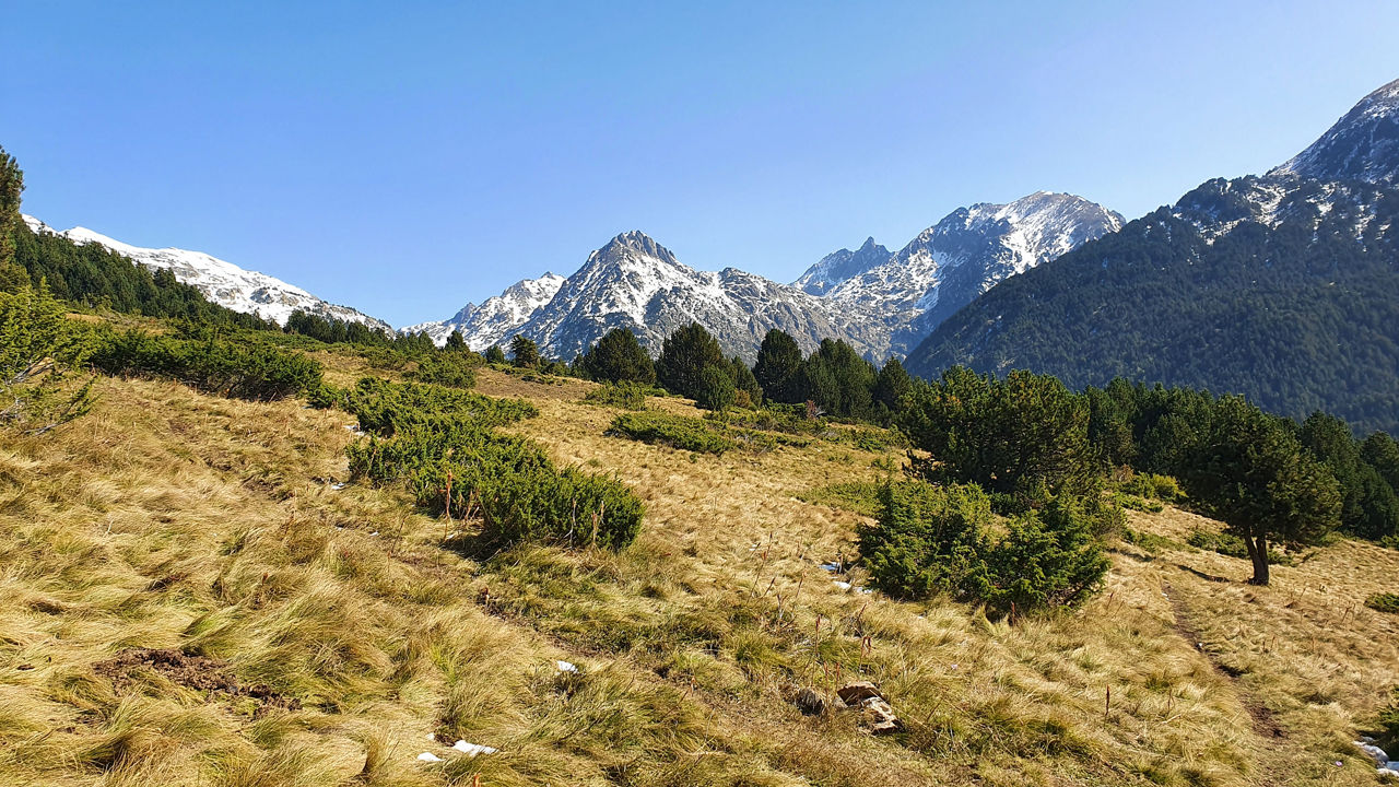 3-Pla de Bordetes.jpg