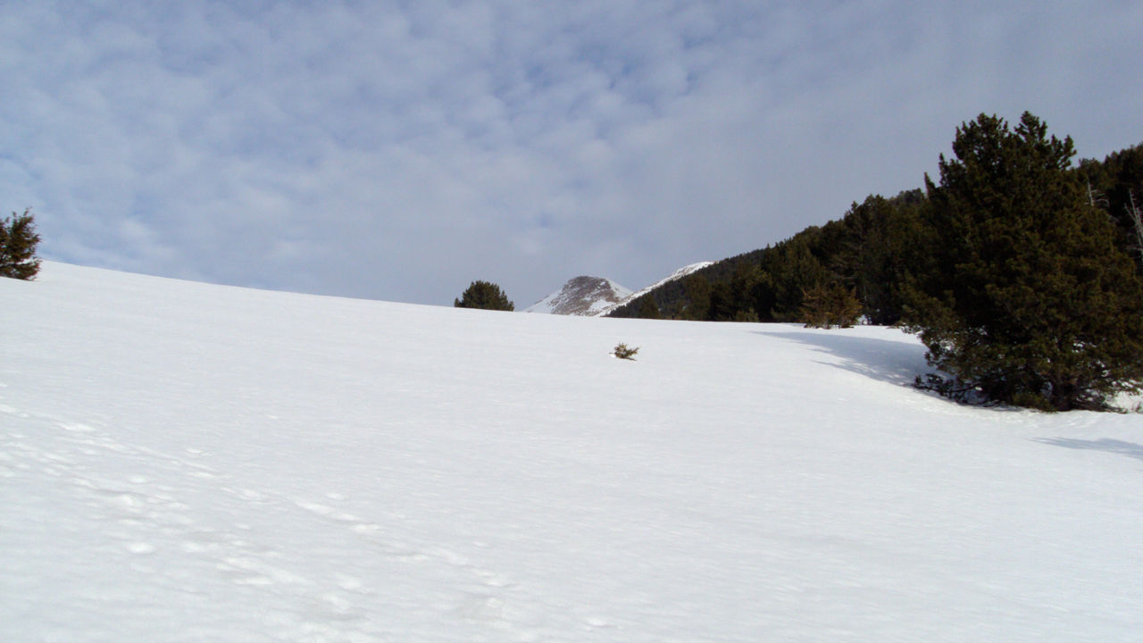 3-portella de l'Ensegur ENSEGUR.JPG