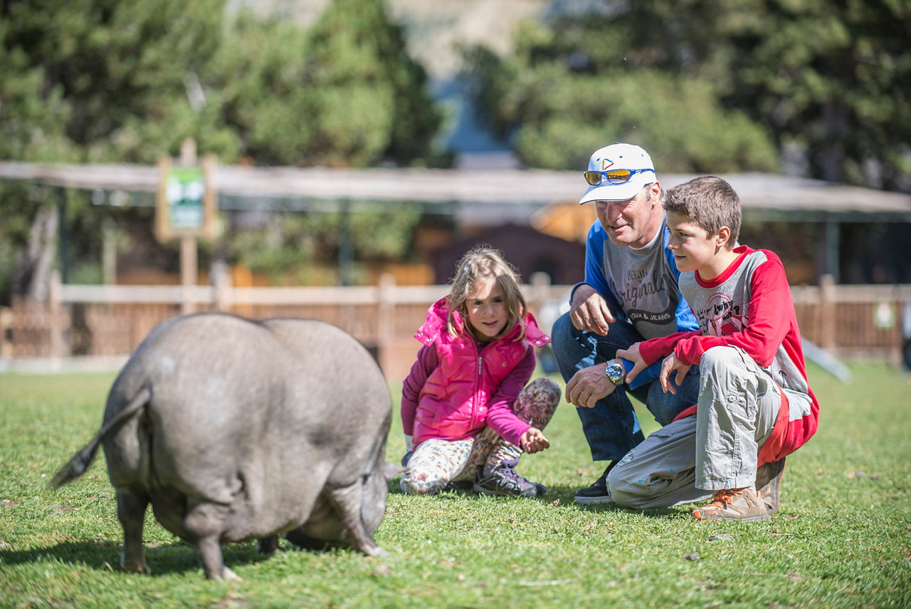 /content/dam/visitandorra/ca/assets/images/què-fer/natura/activitats-d'estiu-a-andorra/AND TURISME NATURLANDIA65.JPG