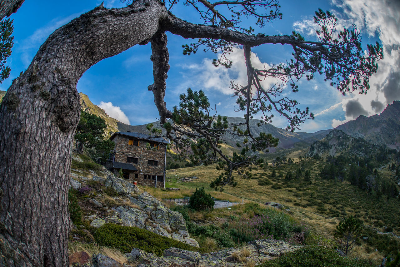 AND TURISME REFUGI COMAPEDROSA24.JPG