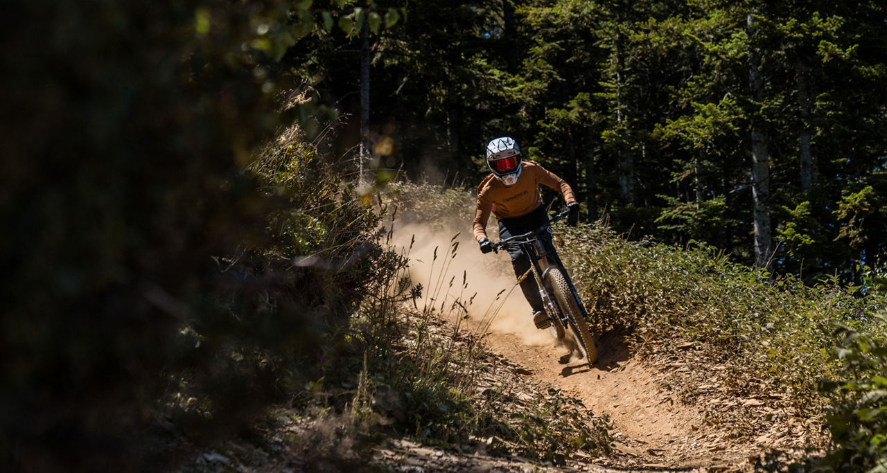 /content/dam/visitandorra/ca/assets/images/coneix-andorra/explora-andorra/BIKE PARK ESTIU PAL ARINSAL.jpg