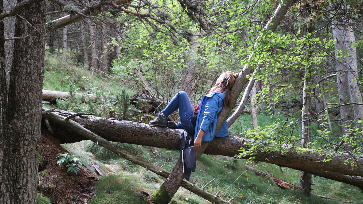 /content/dam/visitandorra/ca/assets/images/experiencies/experiències-de-benestar/Be Forest 07.jpeg