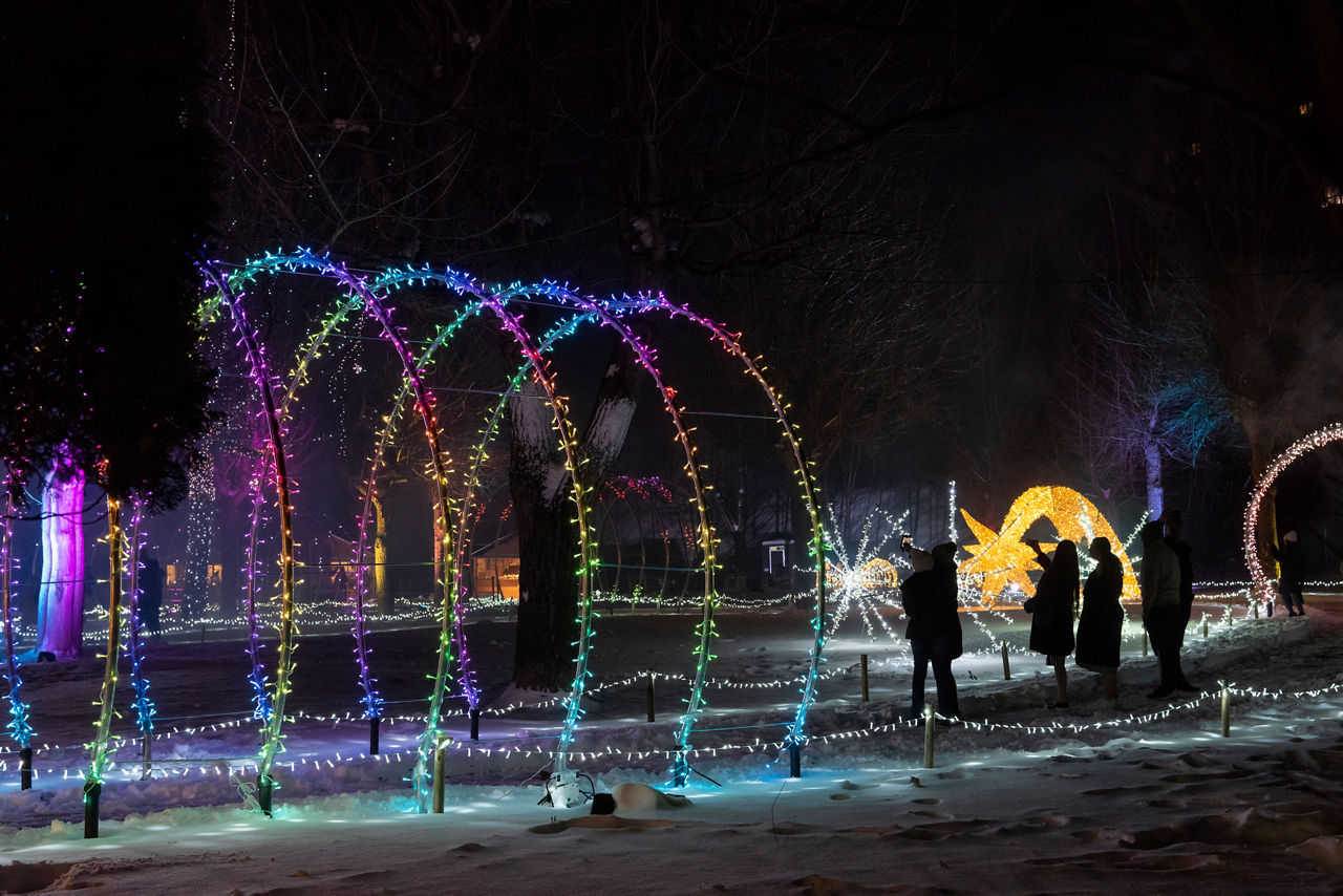 CANILLO BRILLA 20241208 2.jpg