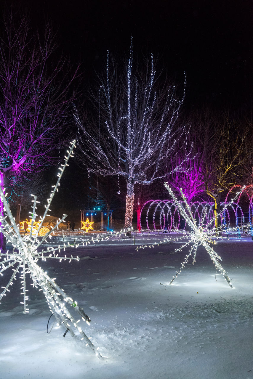 CANILLO BRILLA 20241208 4.jpg