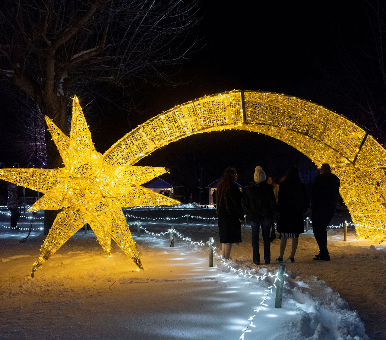 CANILLO BRILLA 20241208 6.jpg