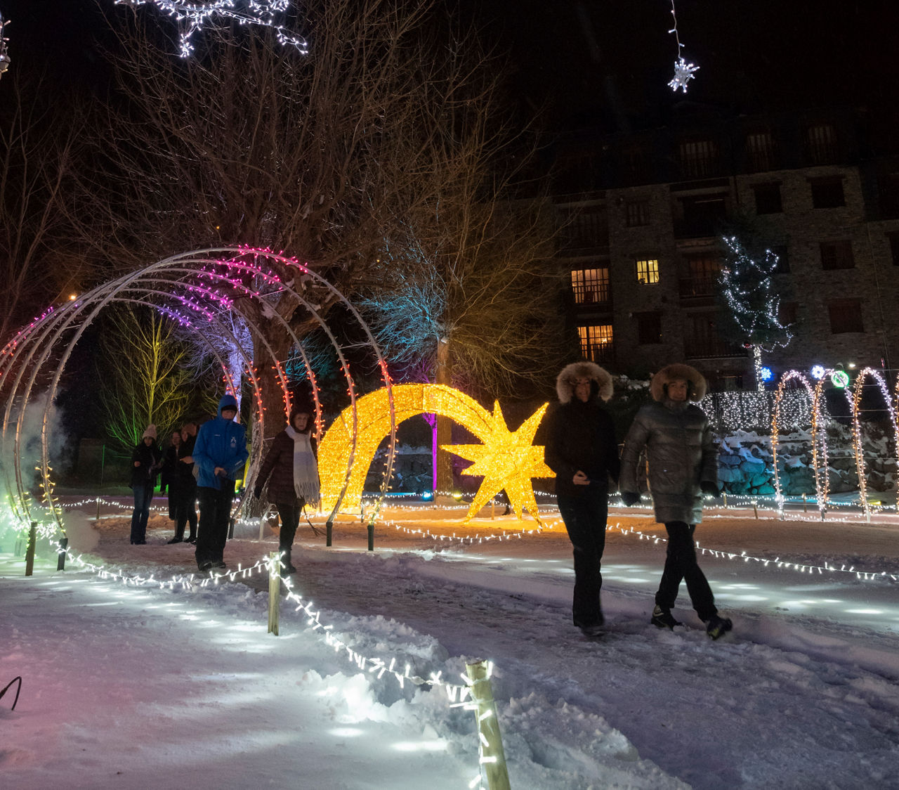 CANILLO BRILLA 20241208 7.jpg