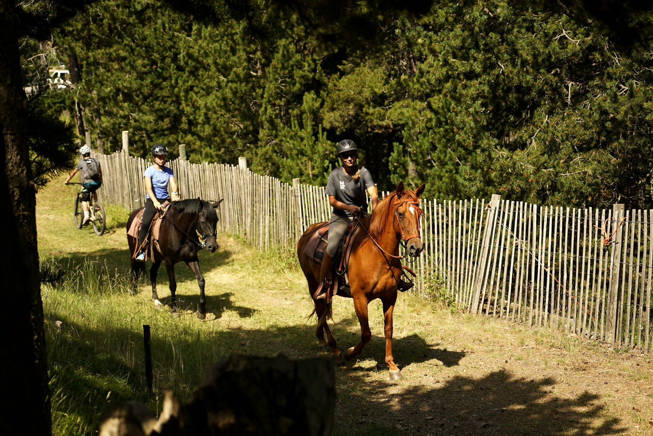 Centre Eqüestre de Naturland.jpg