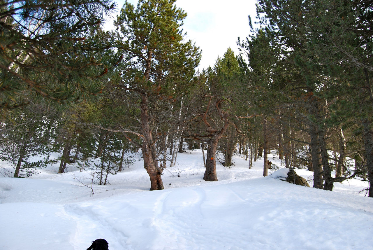 DSC_1079 CAMI RAL.JPG