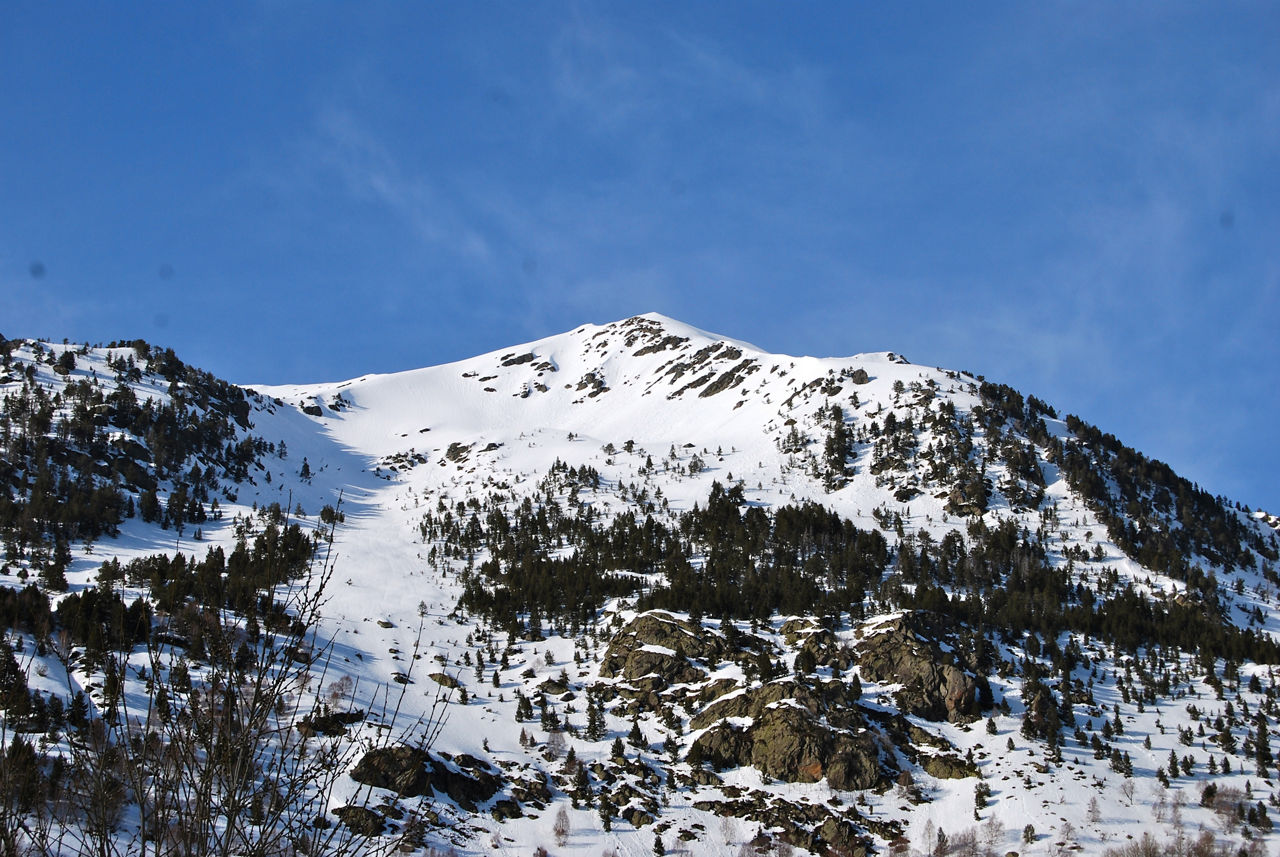 DSC_1092 CAMI RAL.JPG