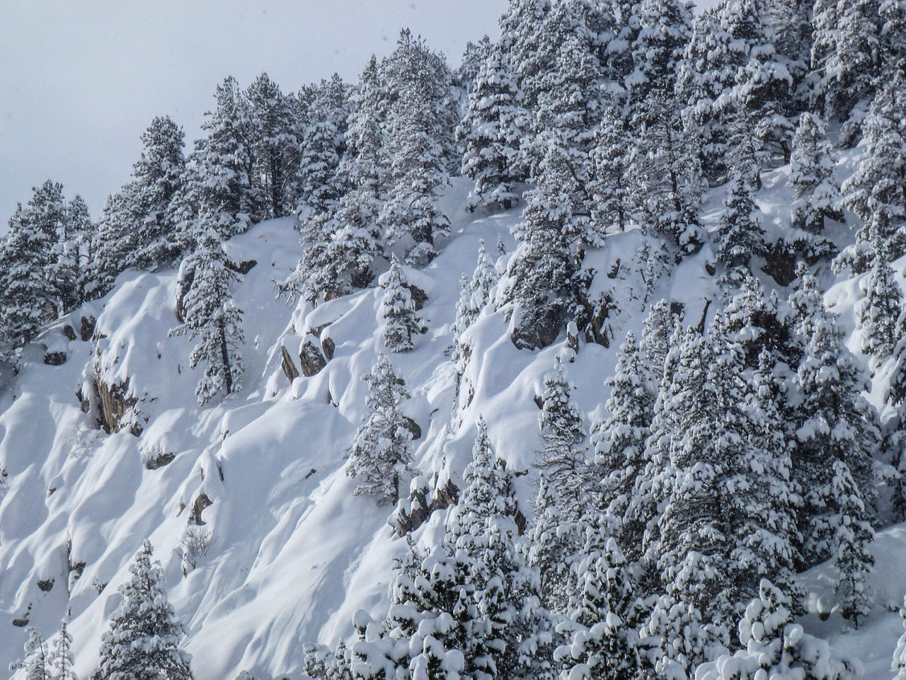 Descens Freeride Bony d'Envalira (clots de la Menera) (1).jpg