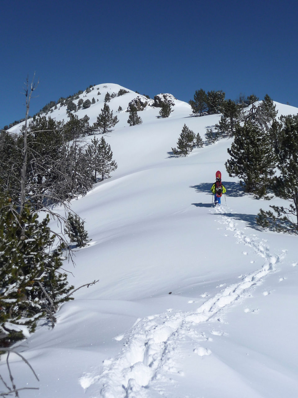 Descens Freeride Pic de Percanela i canals a Arans (3).jpg