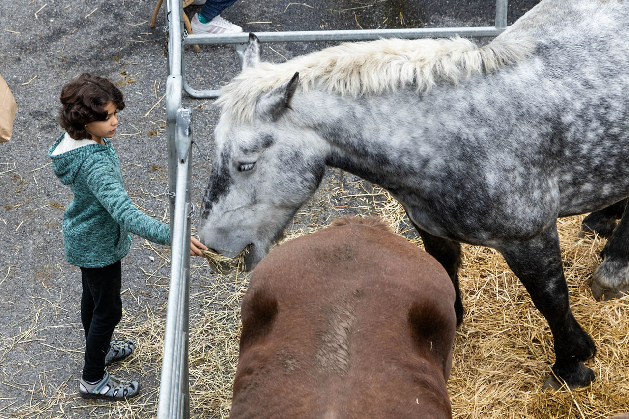 ANDORRA LA MASSANA 12/10/2024 
INAUGURACIÓ DELO MERCAT DE LA PITAVOLA A ARINSAL. 
FOTO: EDUARD COMELLAS. 
COMÚ DE LA MASSANA.