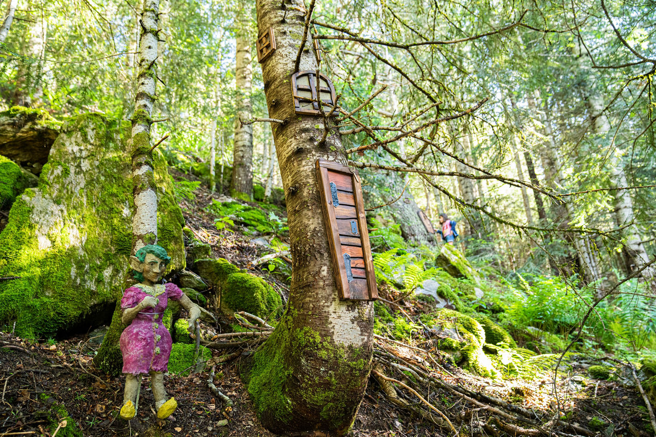 /content/dam/visitandorra/ca/assets/images/què-fer/natura/senderisme-amb-nens-a-andorra/El Bosc dels Menairons - Alta-47.jpg