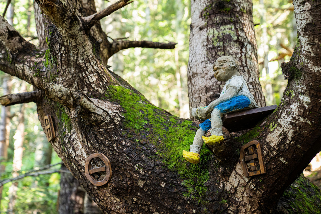 /content/dam/visitandorra/ca/assets/images/què-fer/natura/senderisme-amb-nens-a-andorra/El Bosc dels Menairons - Alta-53.jpg