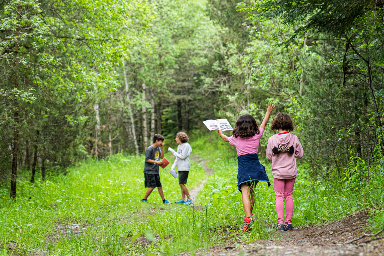 /content/dam/visitandorra/ca/assets/images/què-fer/natura/senderisme-amb-nens-a-andorra/El Bosc dels Menairons - Baixa-21.jpg