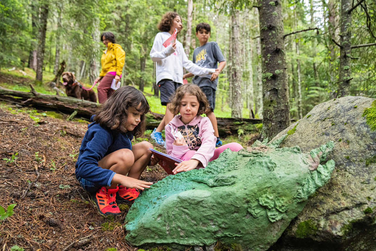 /content/dam/visitandorra/ca/assets/images/què-fer/countrybreak/El Bosc dels Menairons - Prensa-69.jpg