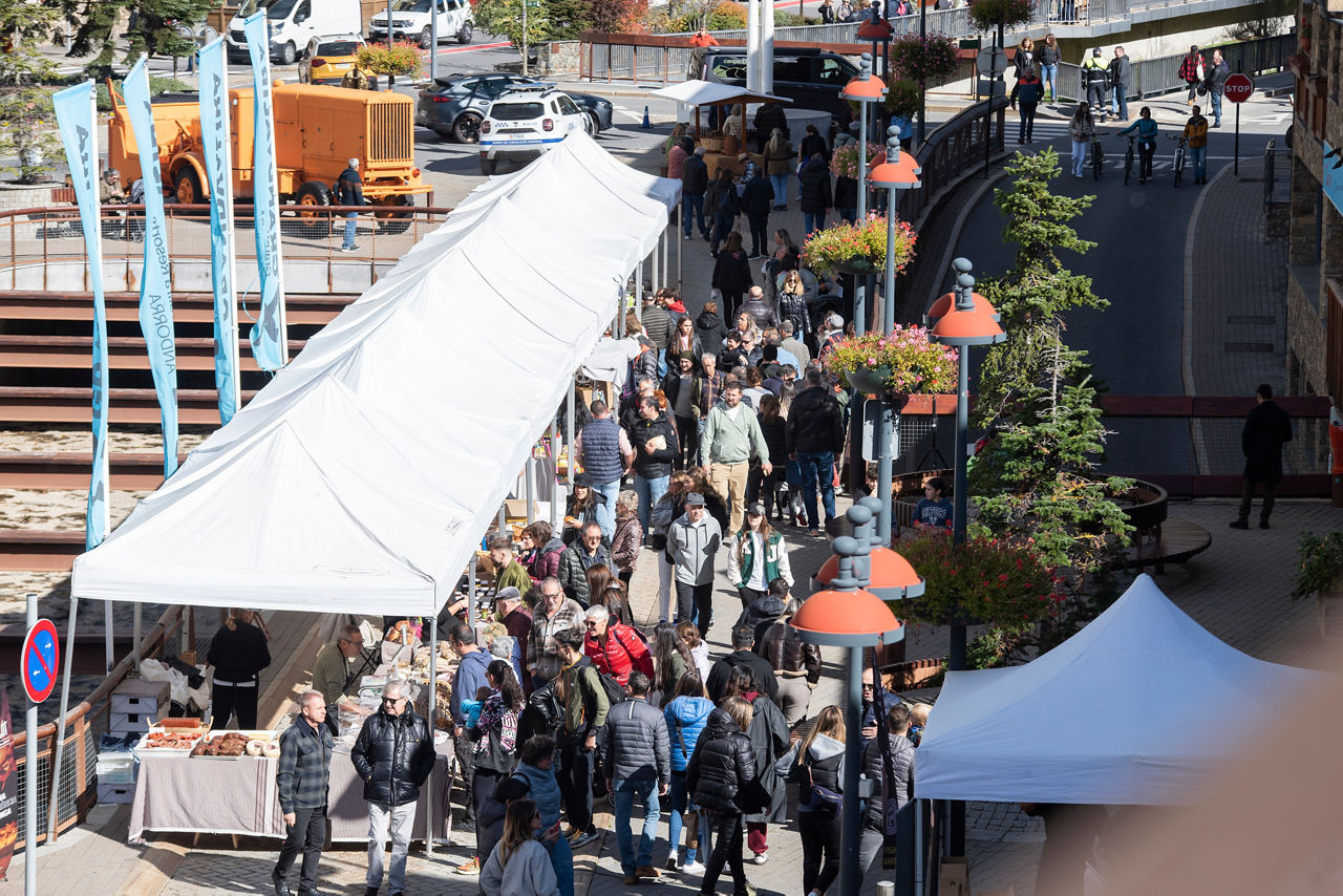 FIRA DEL BESTIAR 20241020 46.jpg