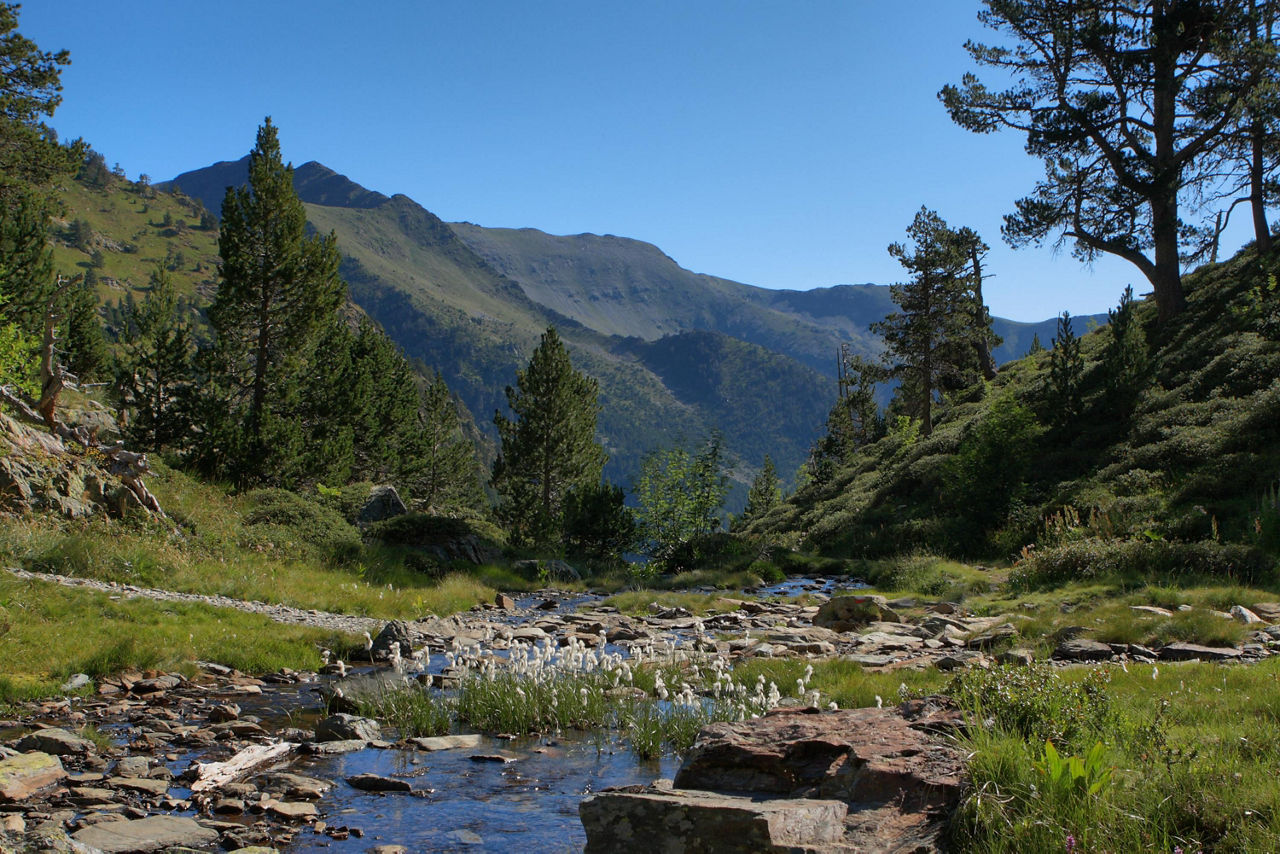 /content/dam/visitandorra/ca/assets/images/què-fer/natura/recomanacions-muntanya/FITXA-RUTAS-DE-SENDERISMO-muntanya.jpg
