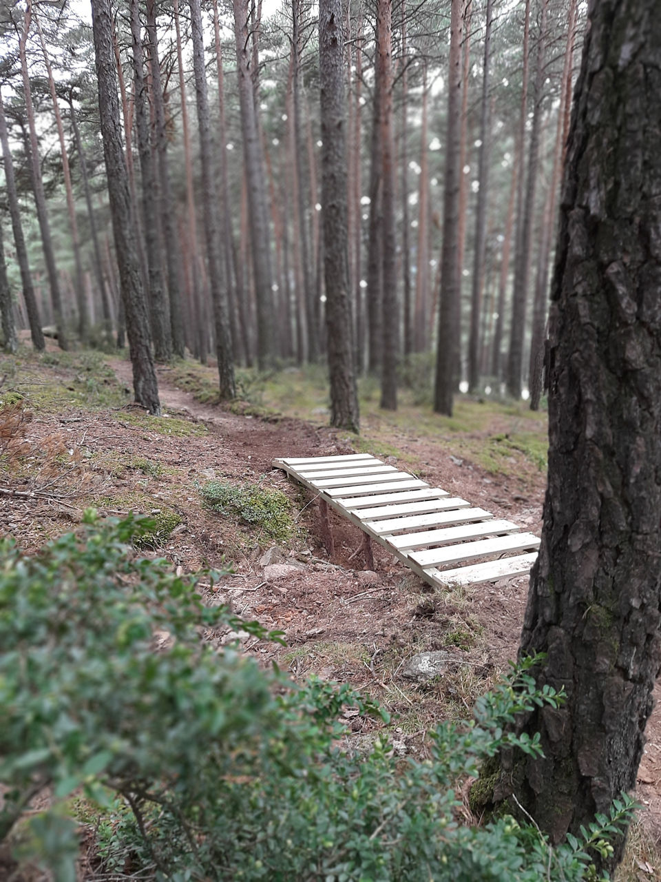 Foto San Cristòfol 6.jpg