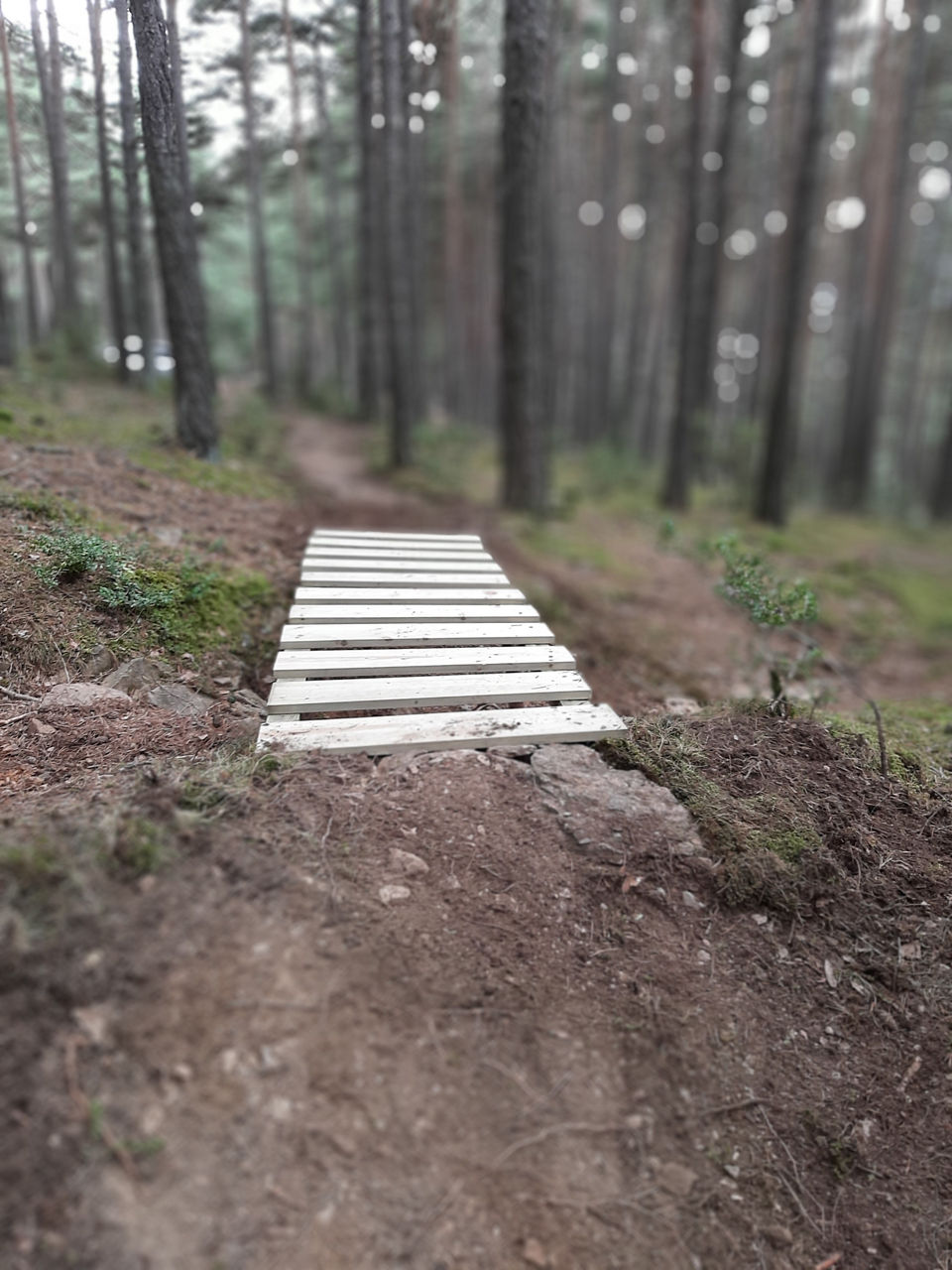 Foto San Cristòfol 7.jpg