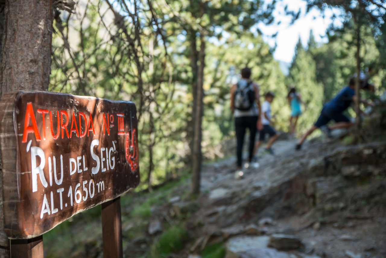 GSUBILIBIA CAMI GALL DE BOSC FAMILIA 051.JPG
