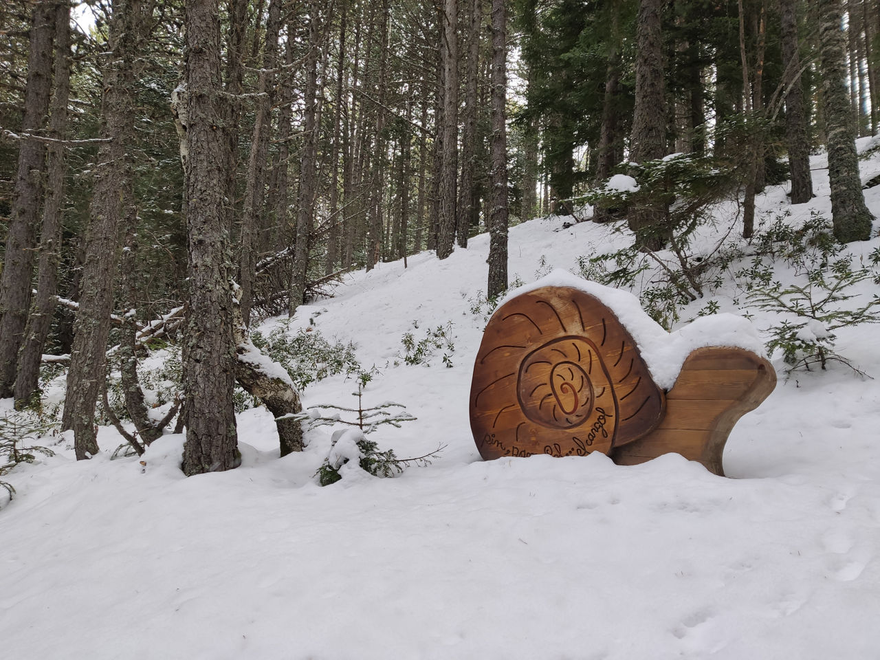La foresta dei menairons