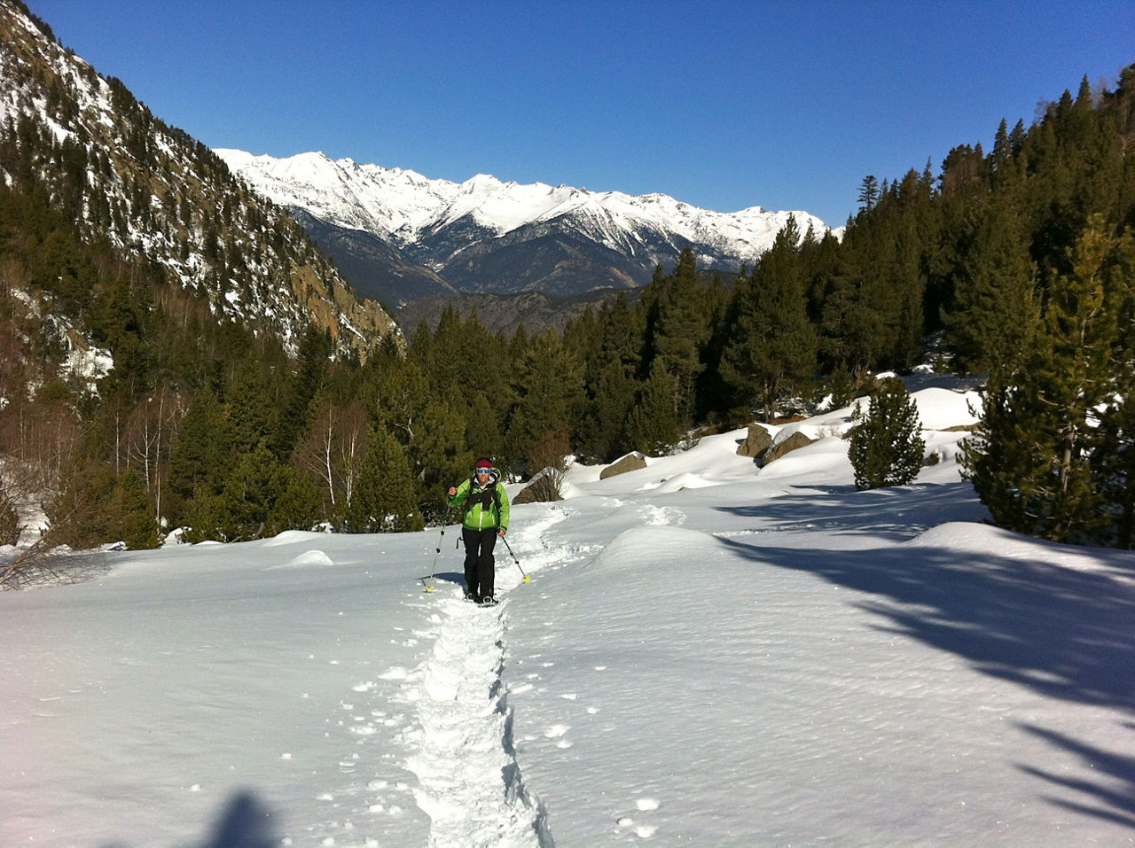 IMG_4419 PERAFITA.JPG