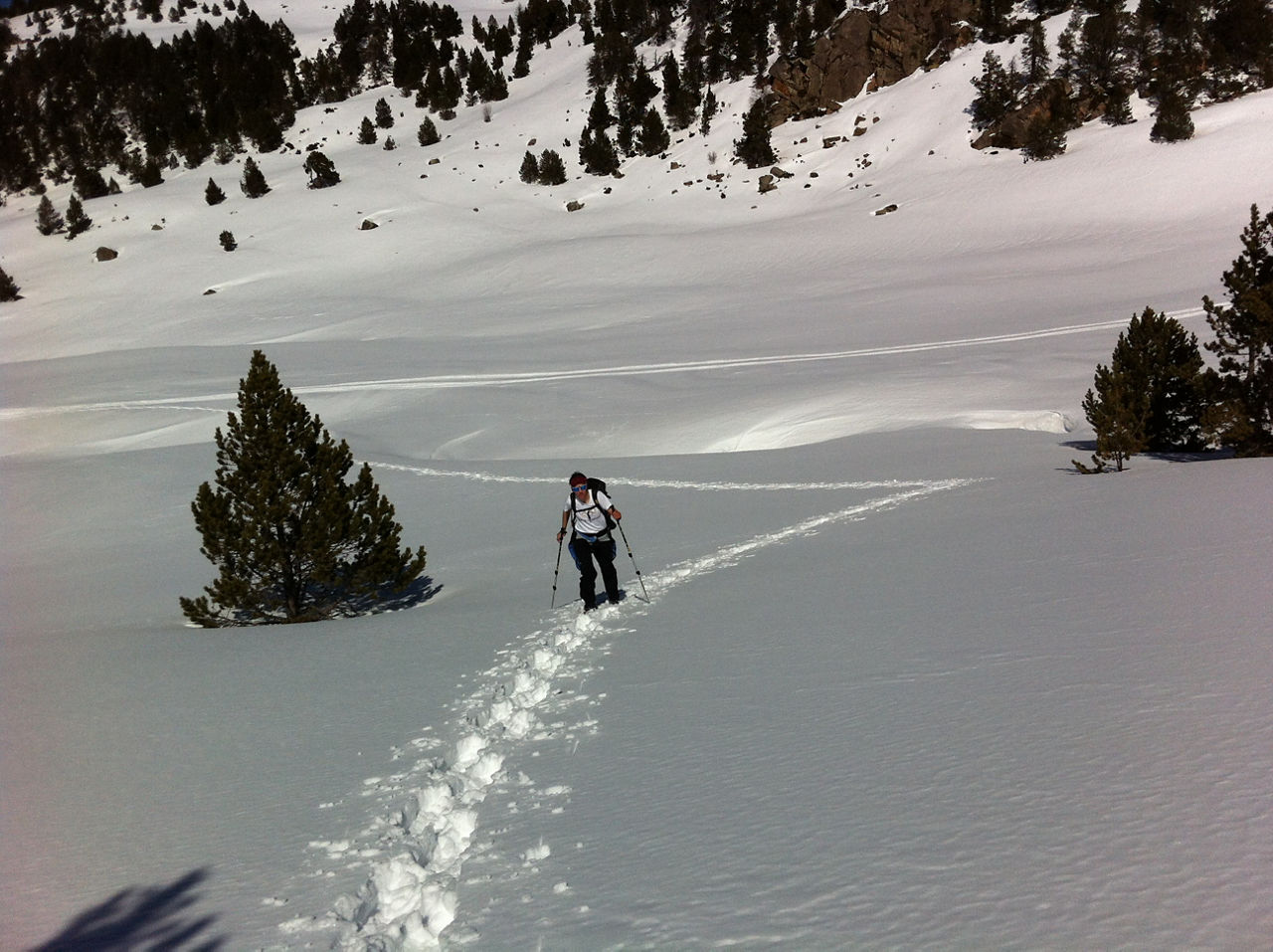 IMG_4435 PERAFITA.JPG