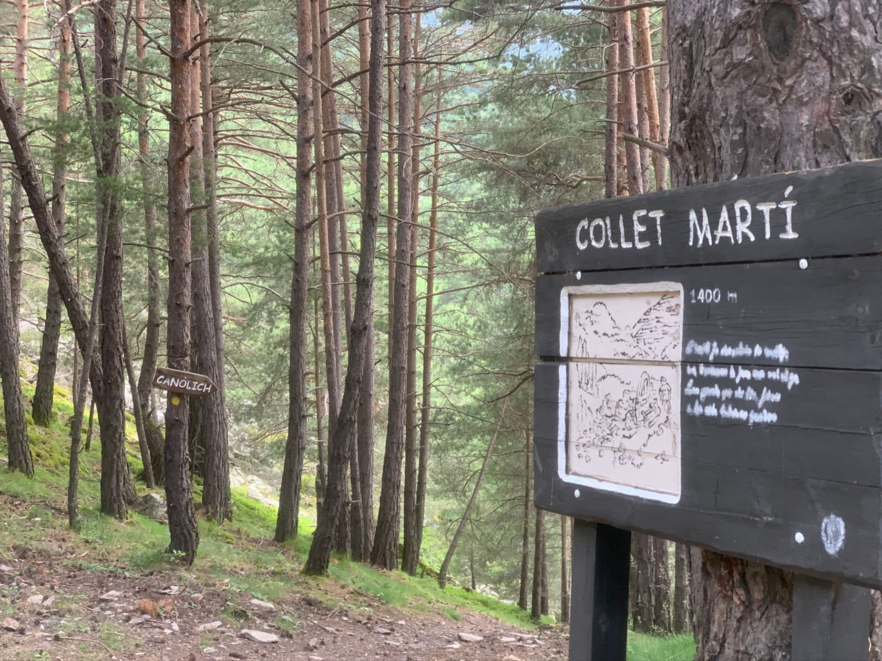 IMG_6258 - ultimas soraya (4).JPEG